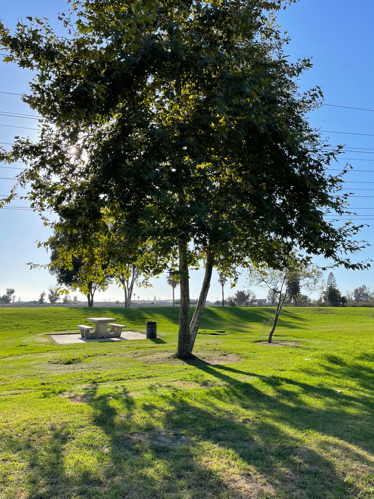 Object 1…. There’re all trees! Its an Object course! 👌🏼