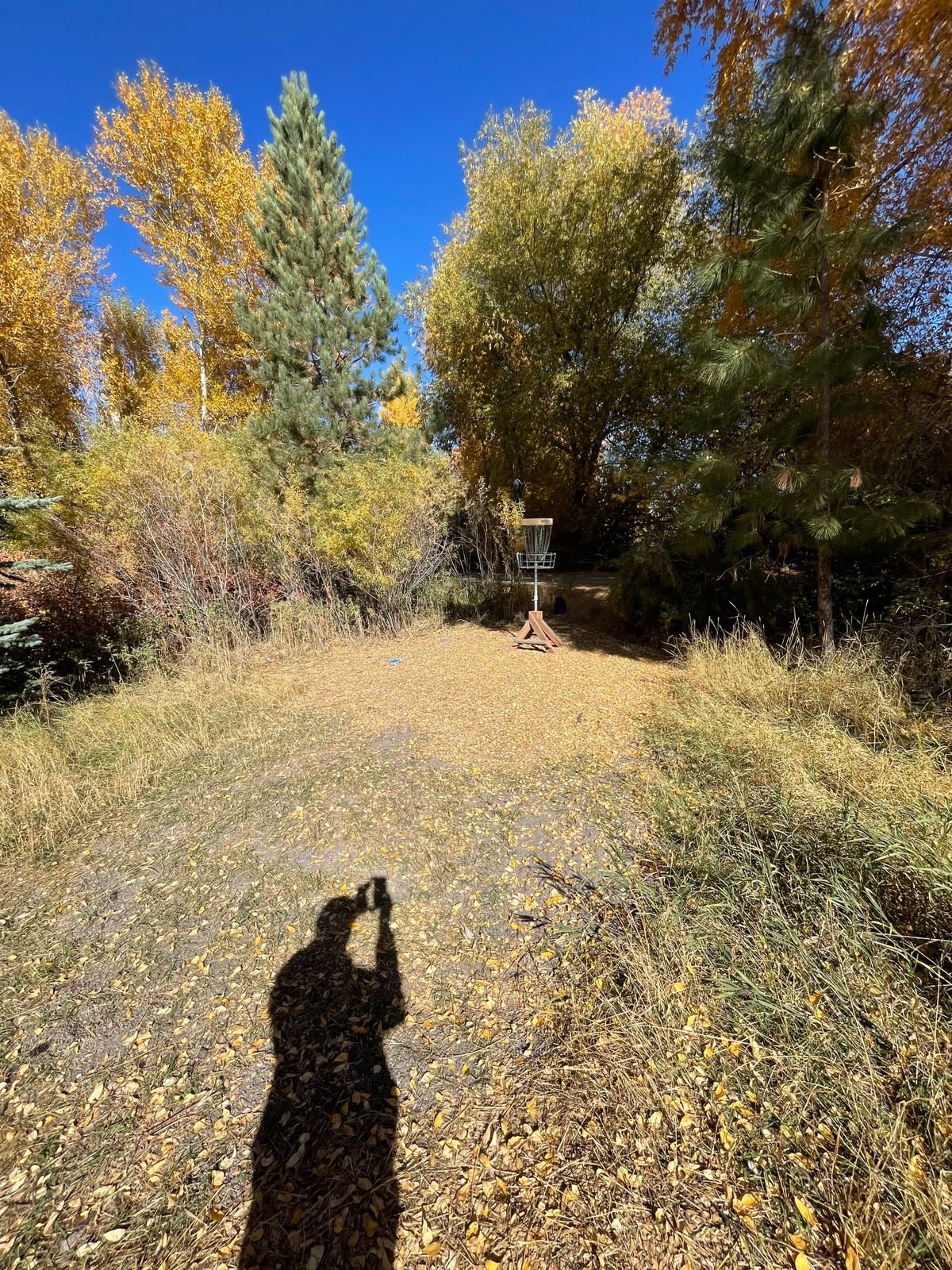 Elevated basket green of hole 8E