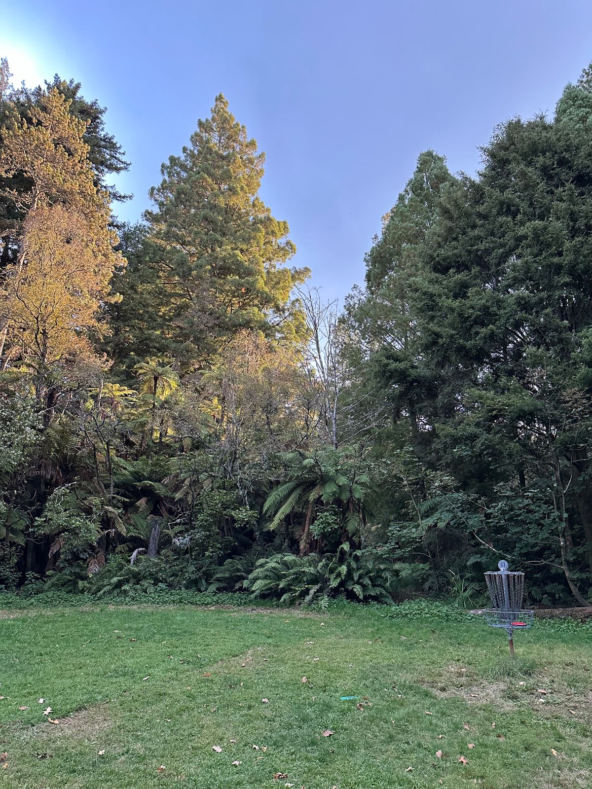 Hole 13's green