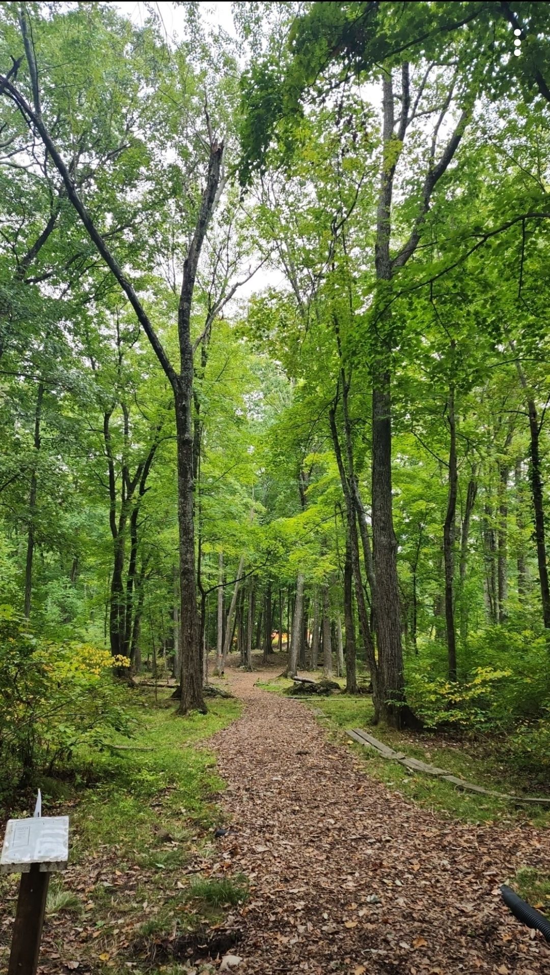 Hole 18