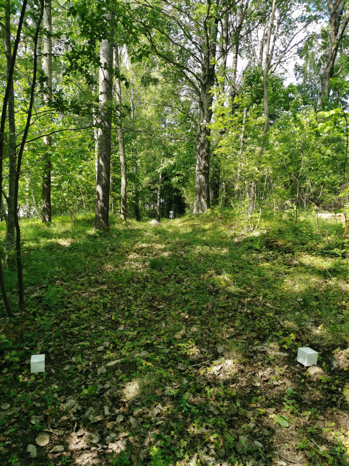 Bana 9, par 3, 60 meter