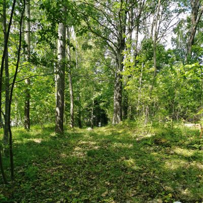 Bana 9, par 3, 60 meter