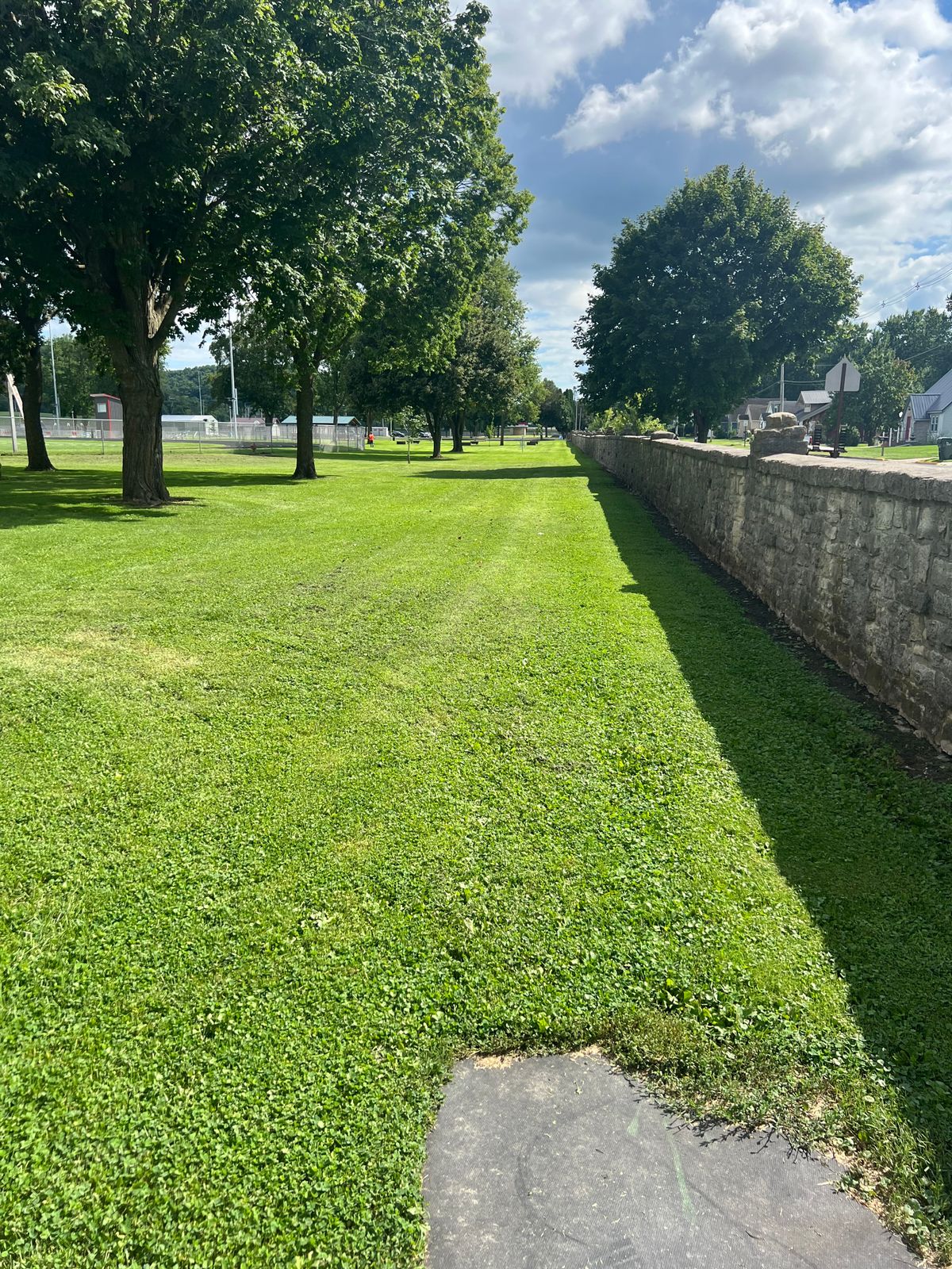 Hole 5 Tee