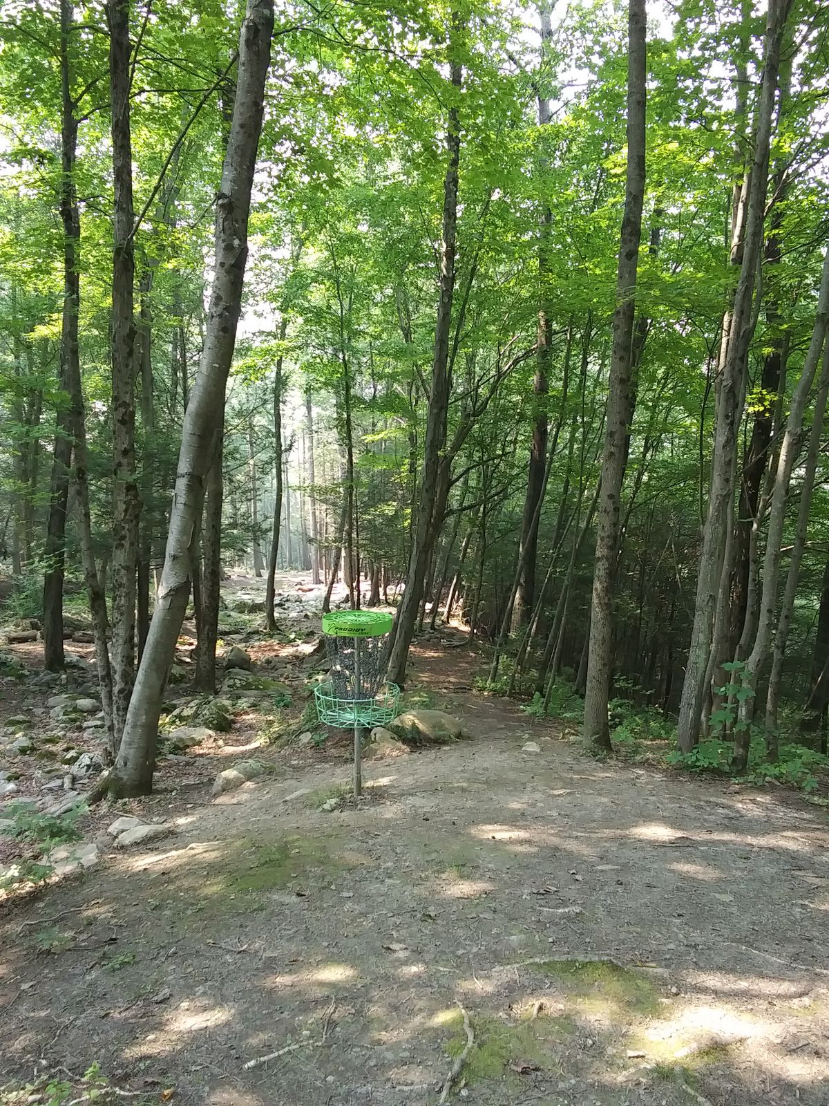 Hole 7 basket, looking down fairway.