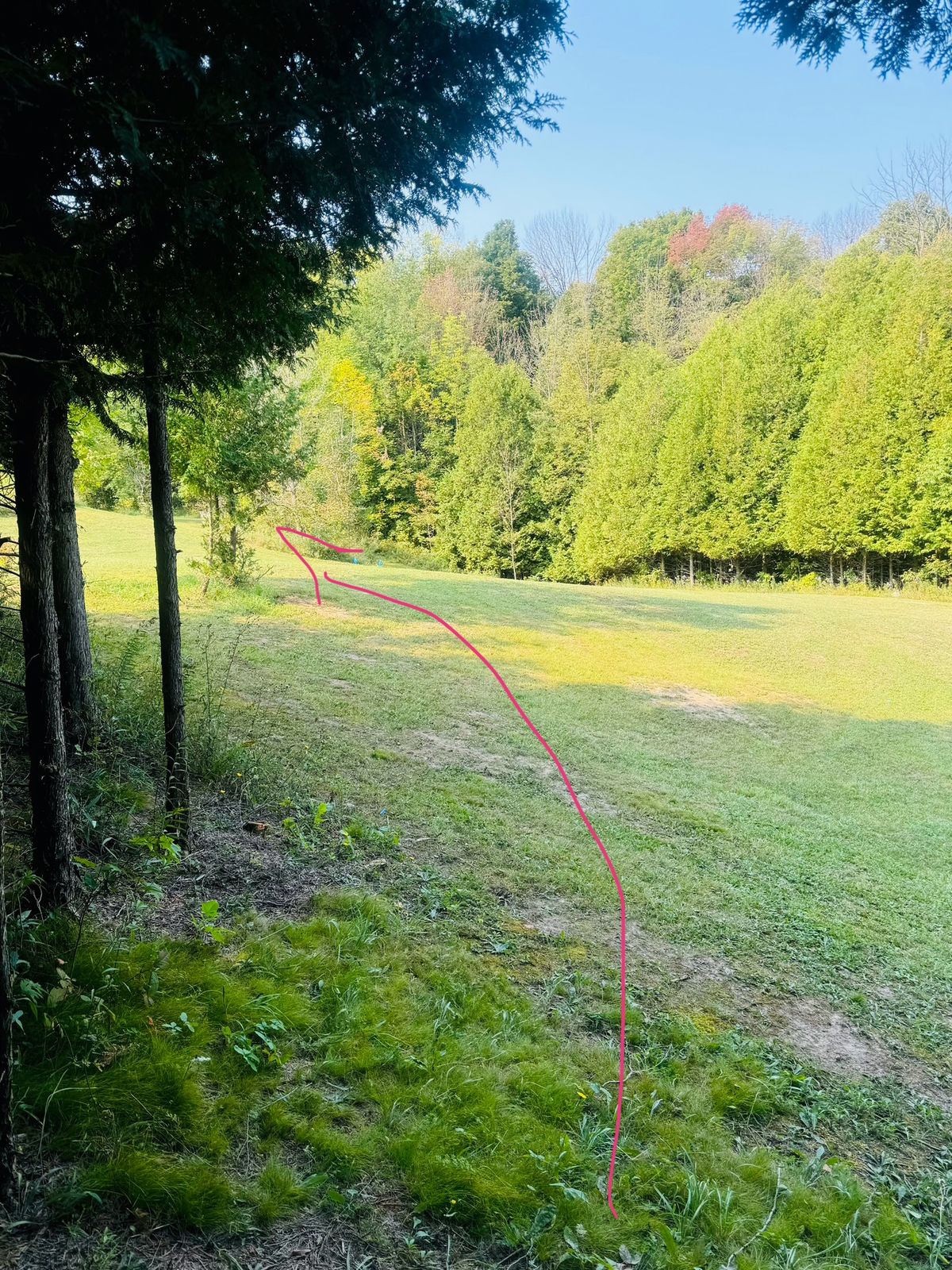 Hole 3 from the tee