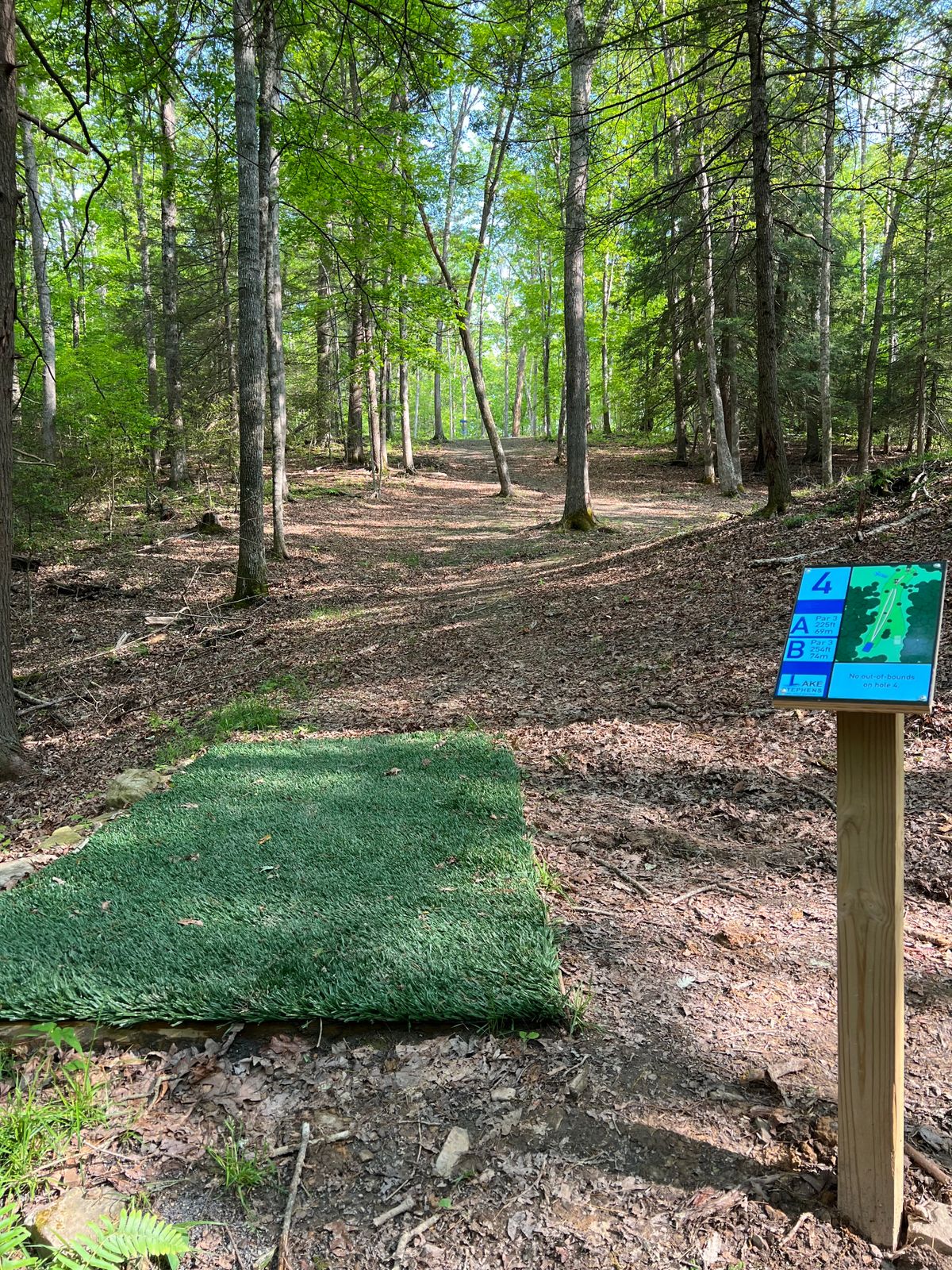 Hole 4 Blue Tee