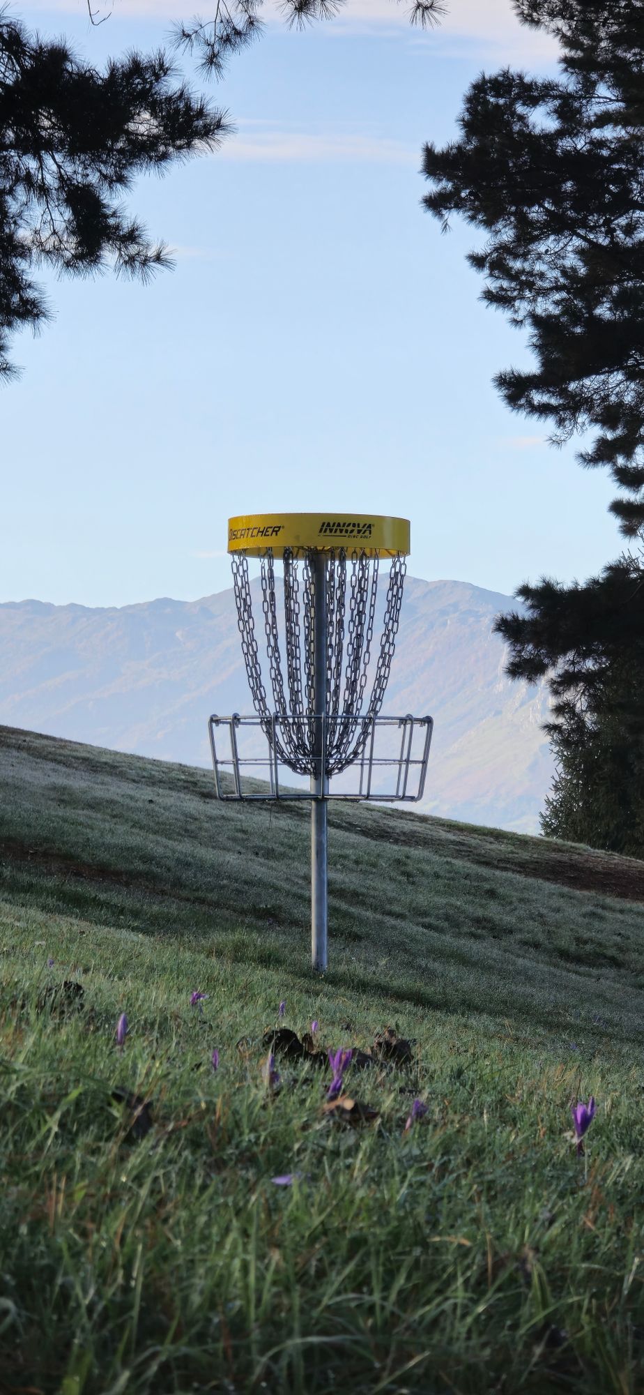 Basket  hole 7