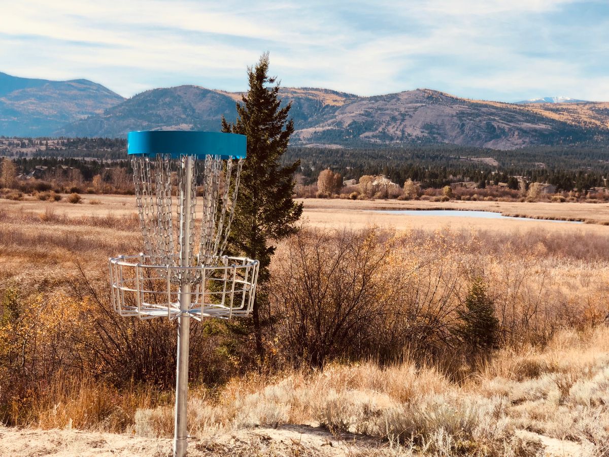 Basket 14 overlooking the wetlands