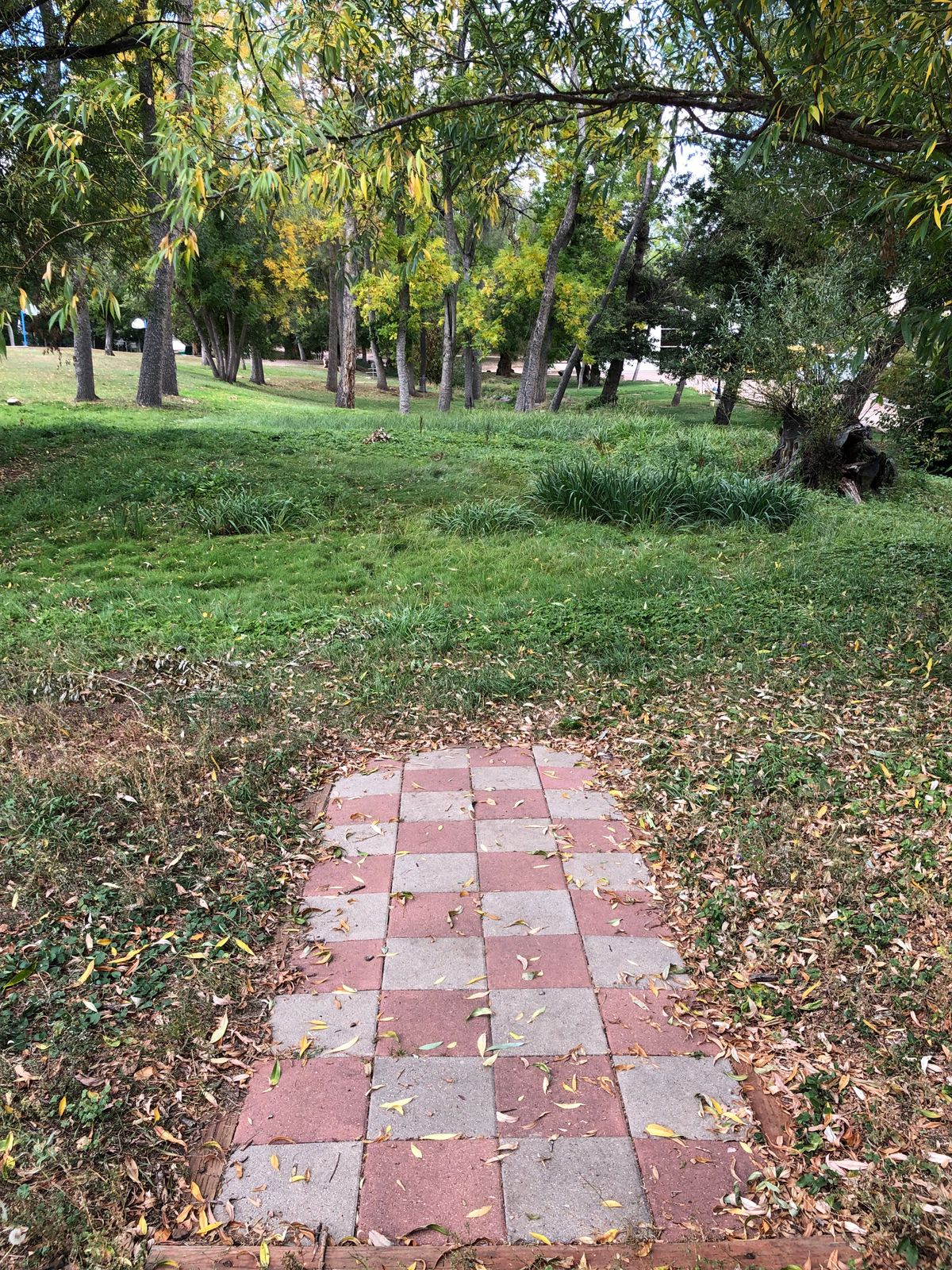 Hole 3 tee
