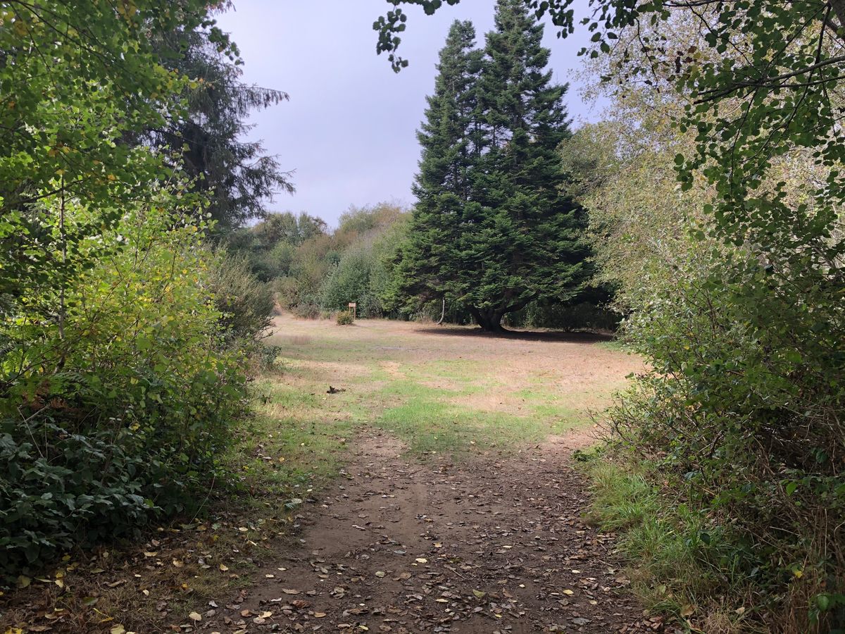 Hole #4
