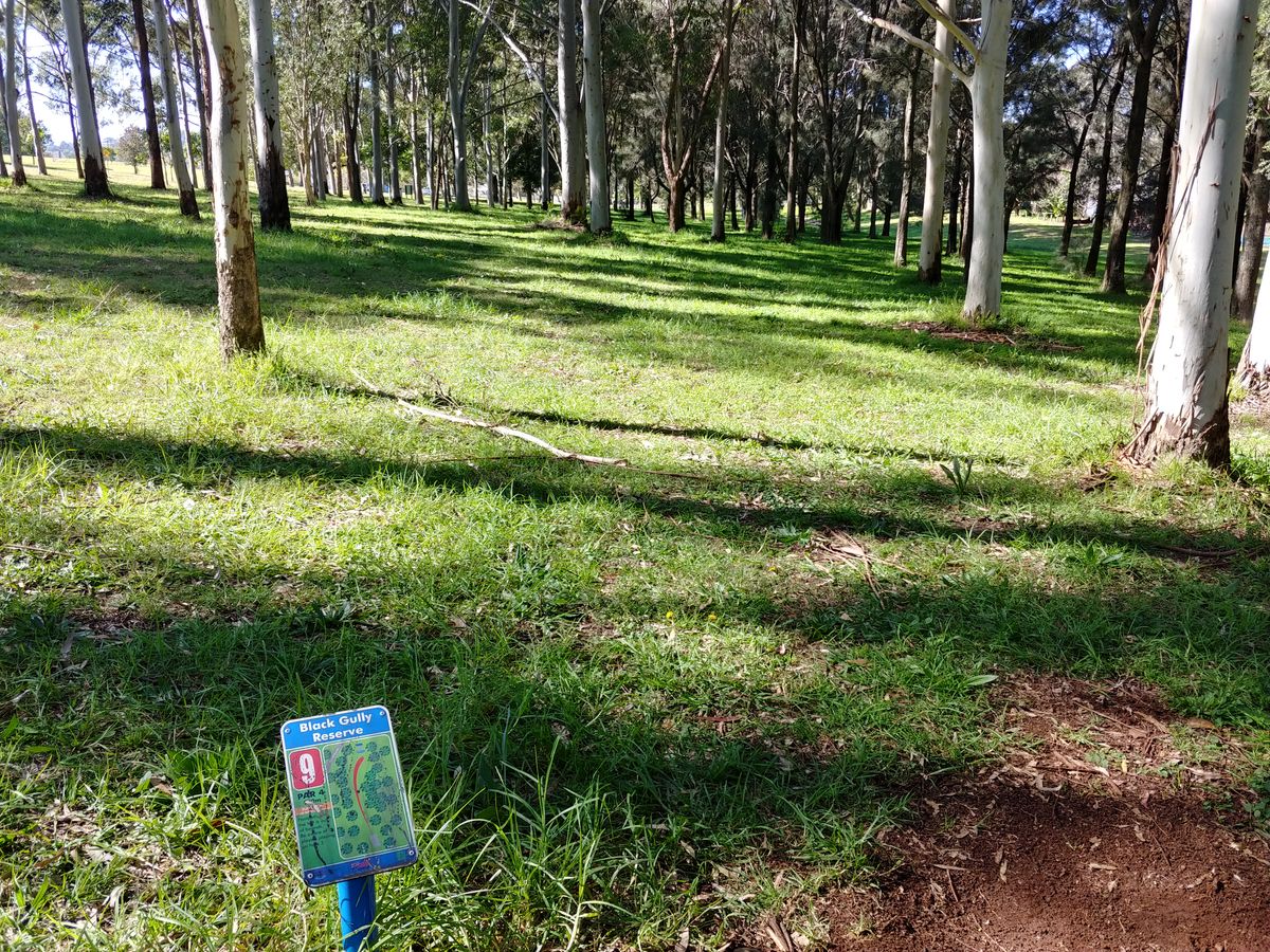 Lots of trees and low ceilings make some shots very tricky.