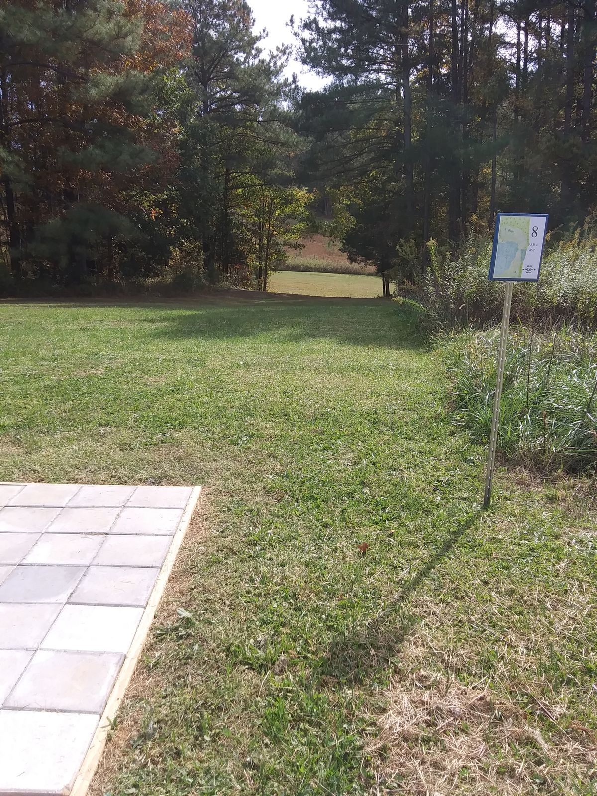 Hole 8 tee to landing area
