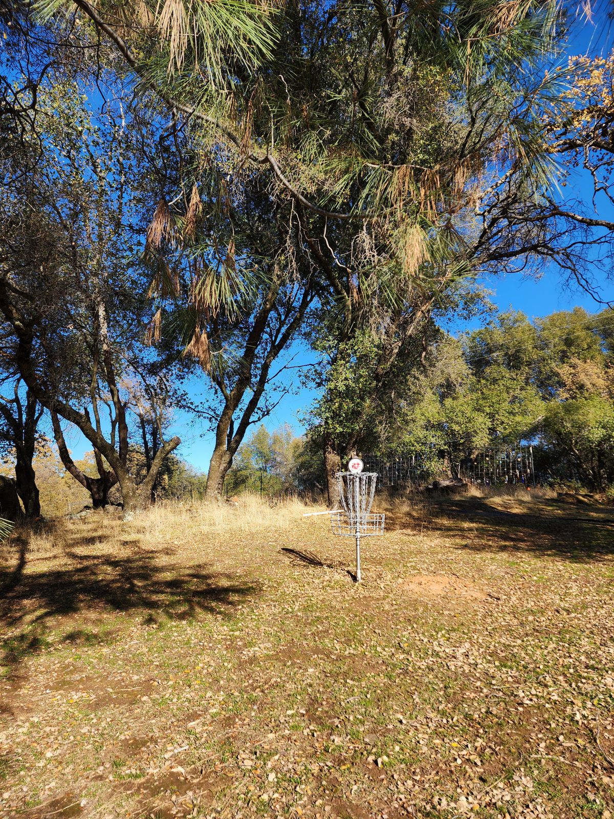 Hole 17 Green