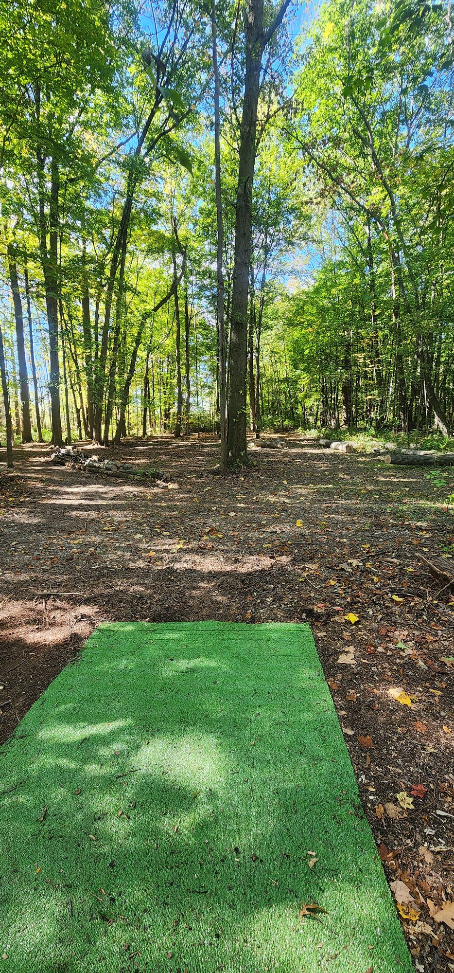 Mando left / right 《 Tree》 