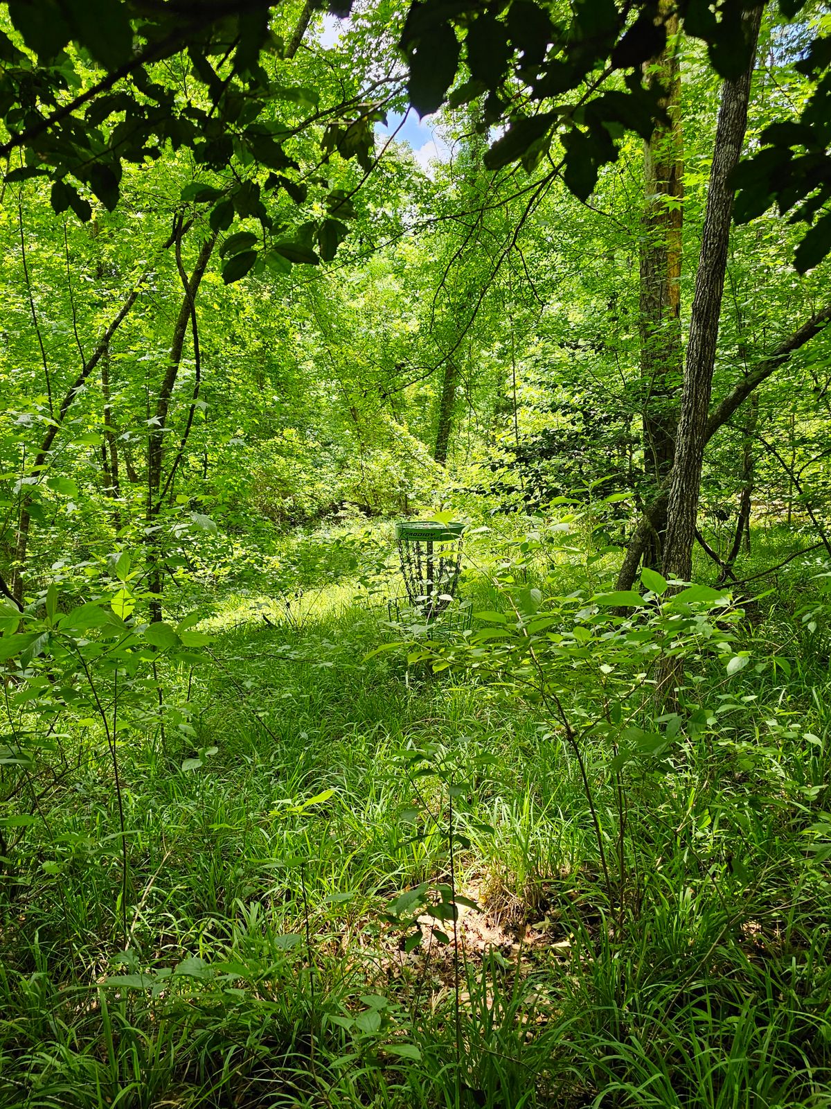 This is the basket on hole 9, looking back down the "fairway".... lol