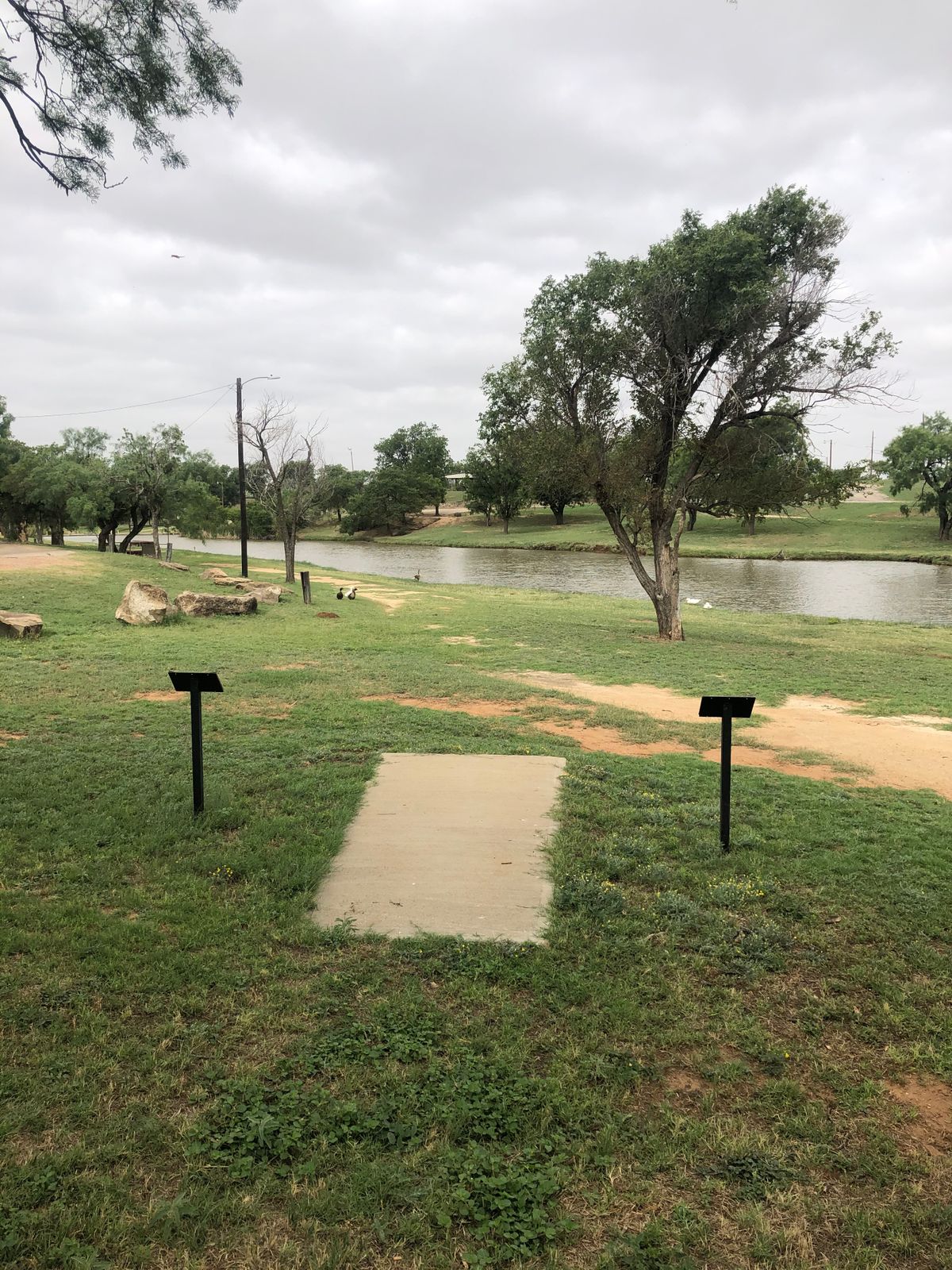 # 8 looking back at tee pad and Lone Wolf Creek!