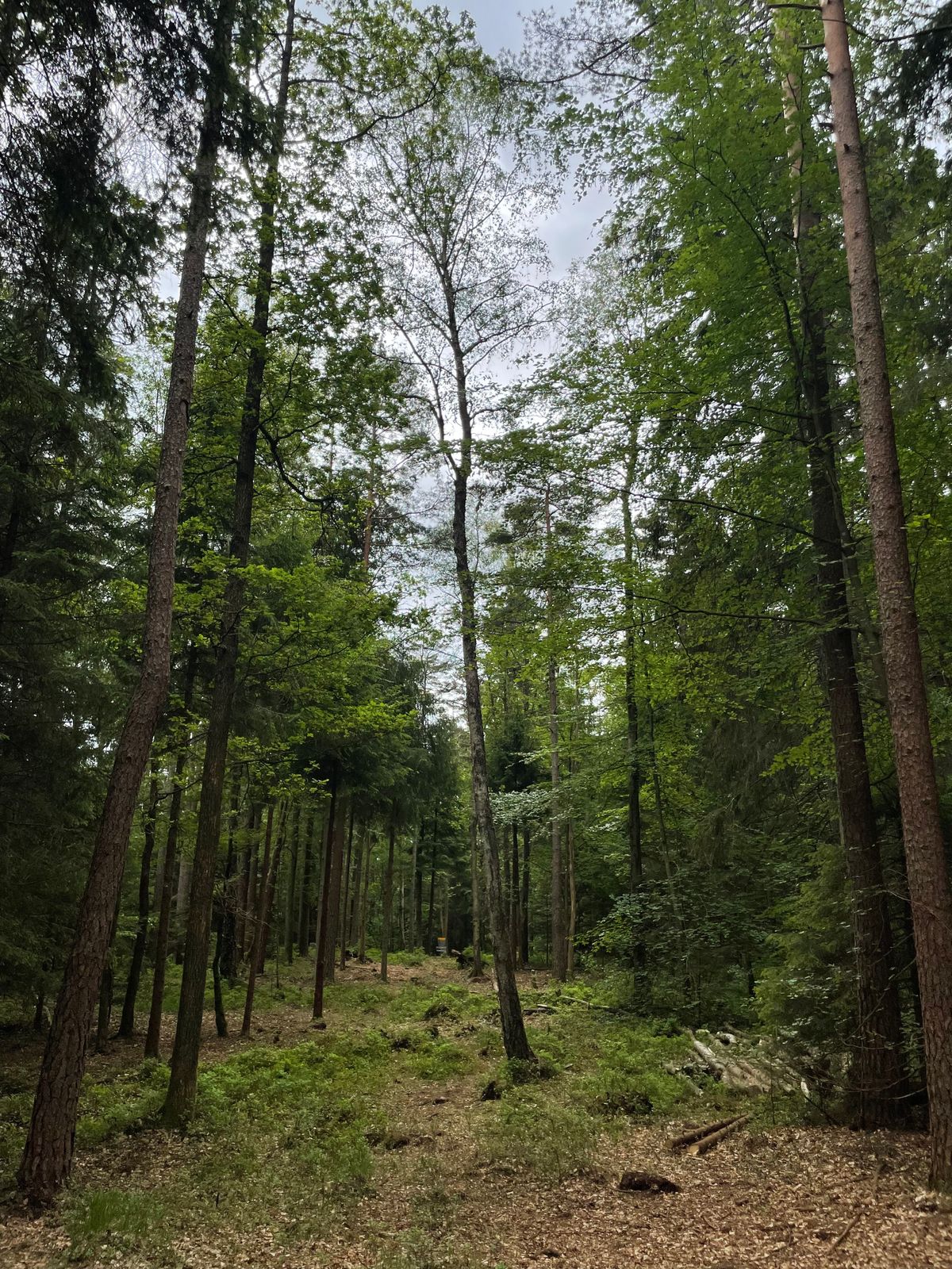 Hål 14 ”Lundgrens Pärla”