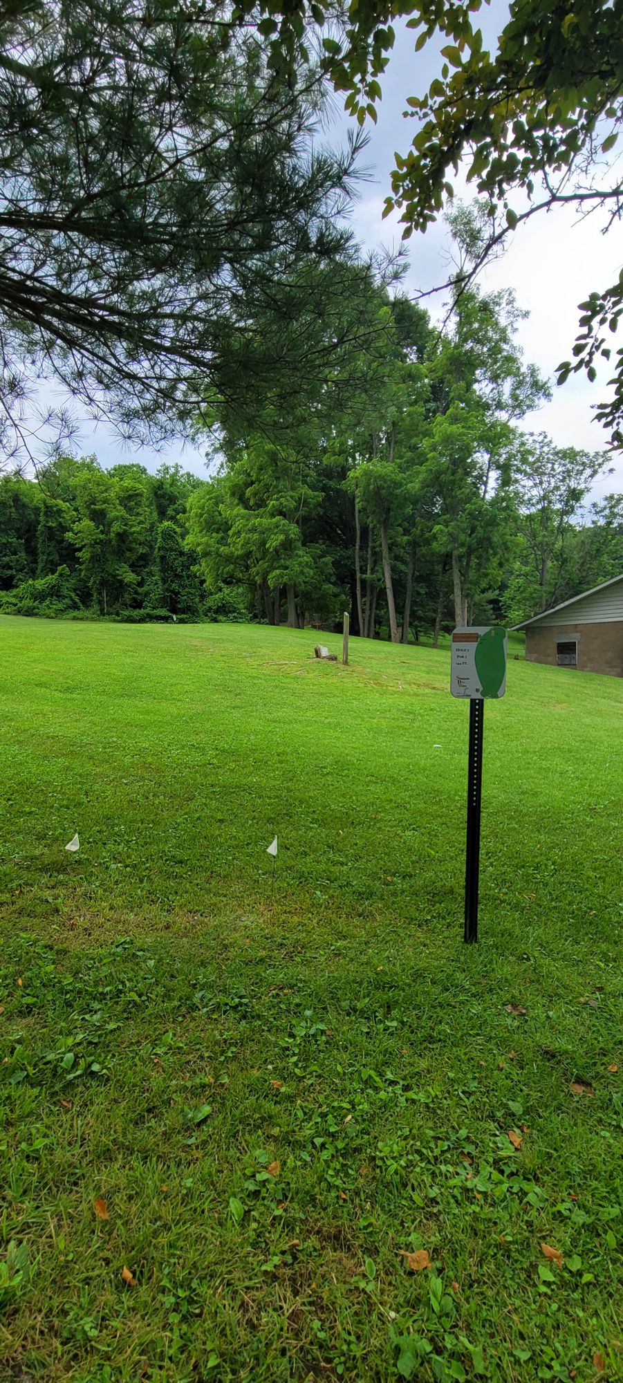 Hole 5 Tee