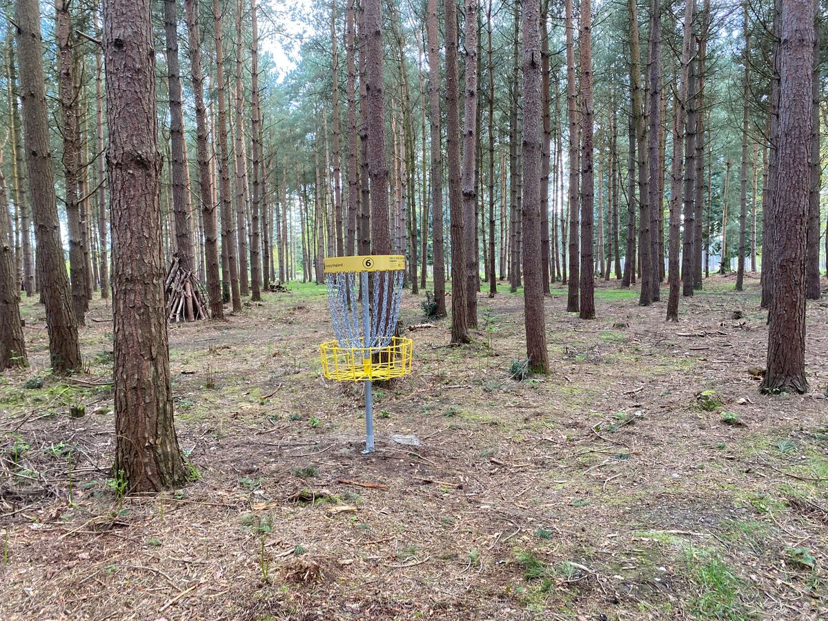 Basket 6  looking back down the fairway