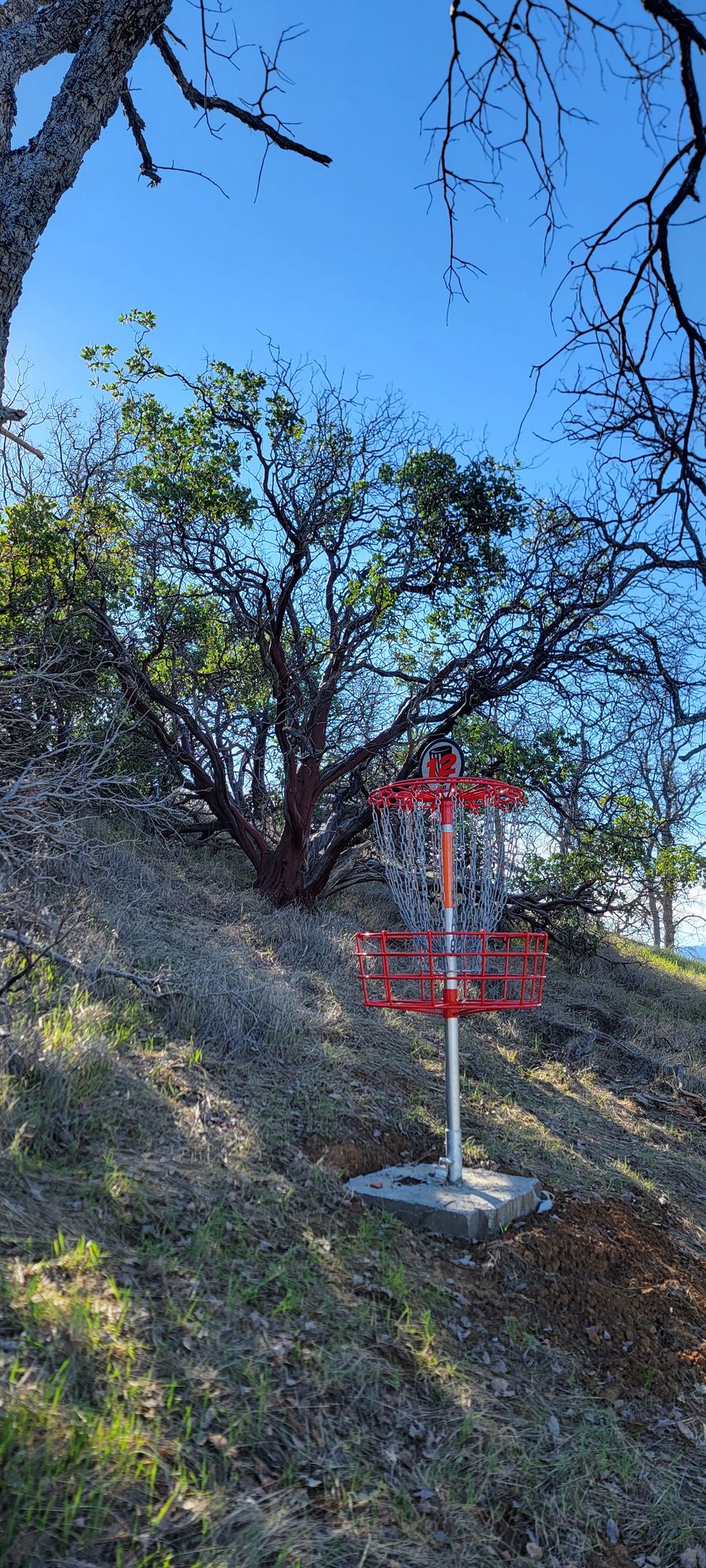 Hole 12 basket
