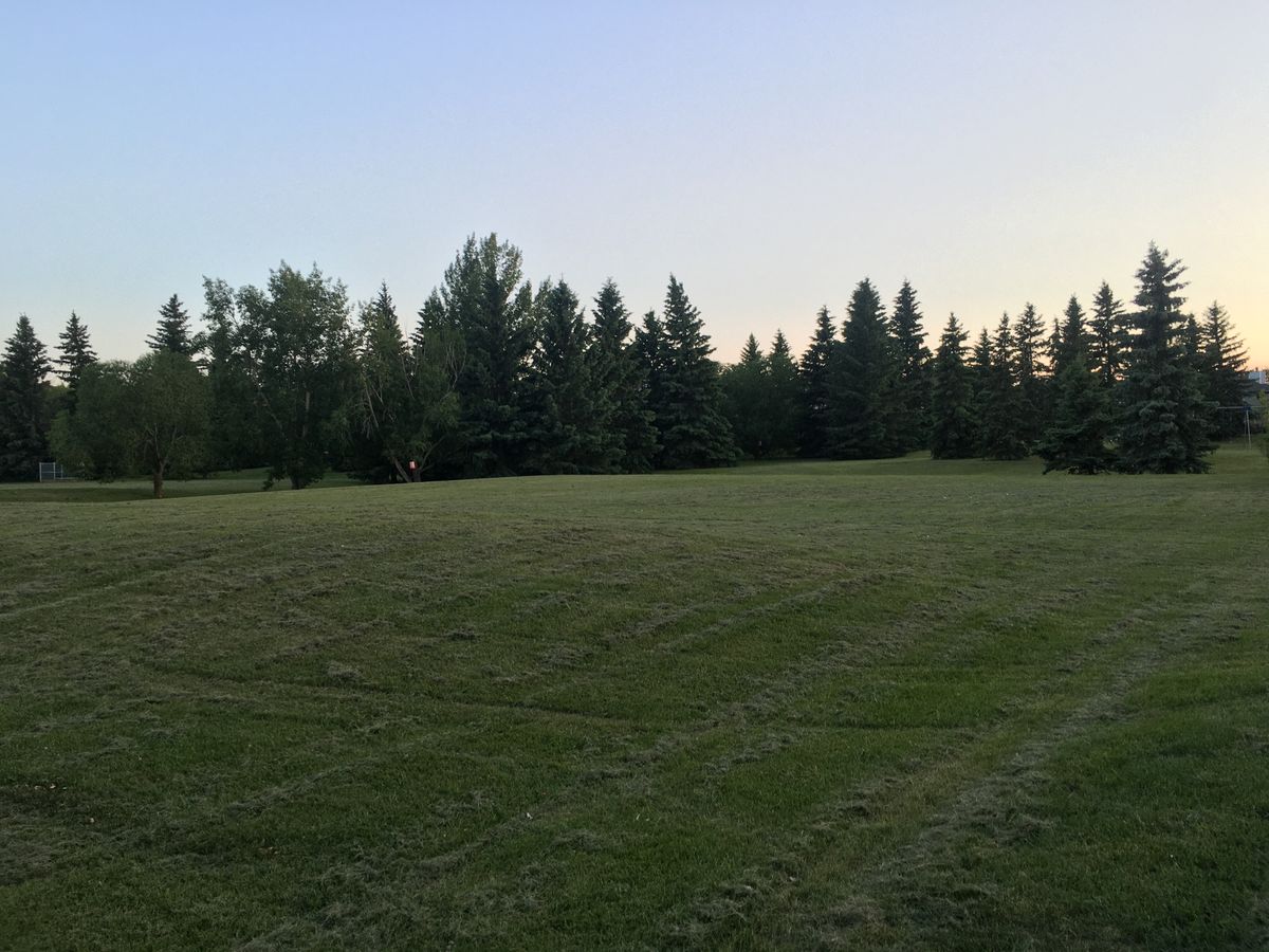 #7 on the left, #3 straight to the far trees