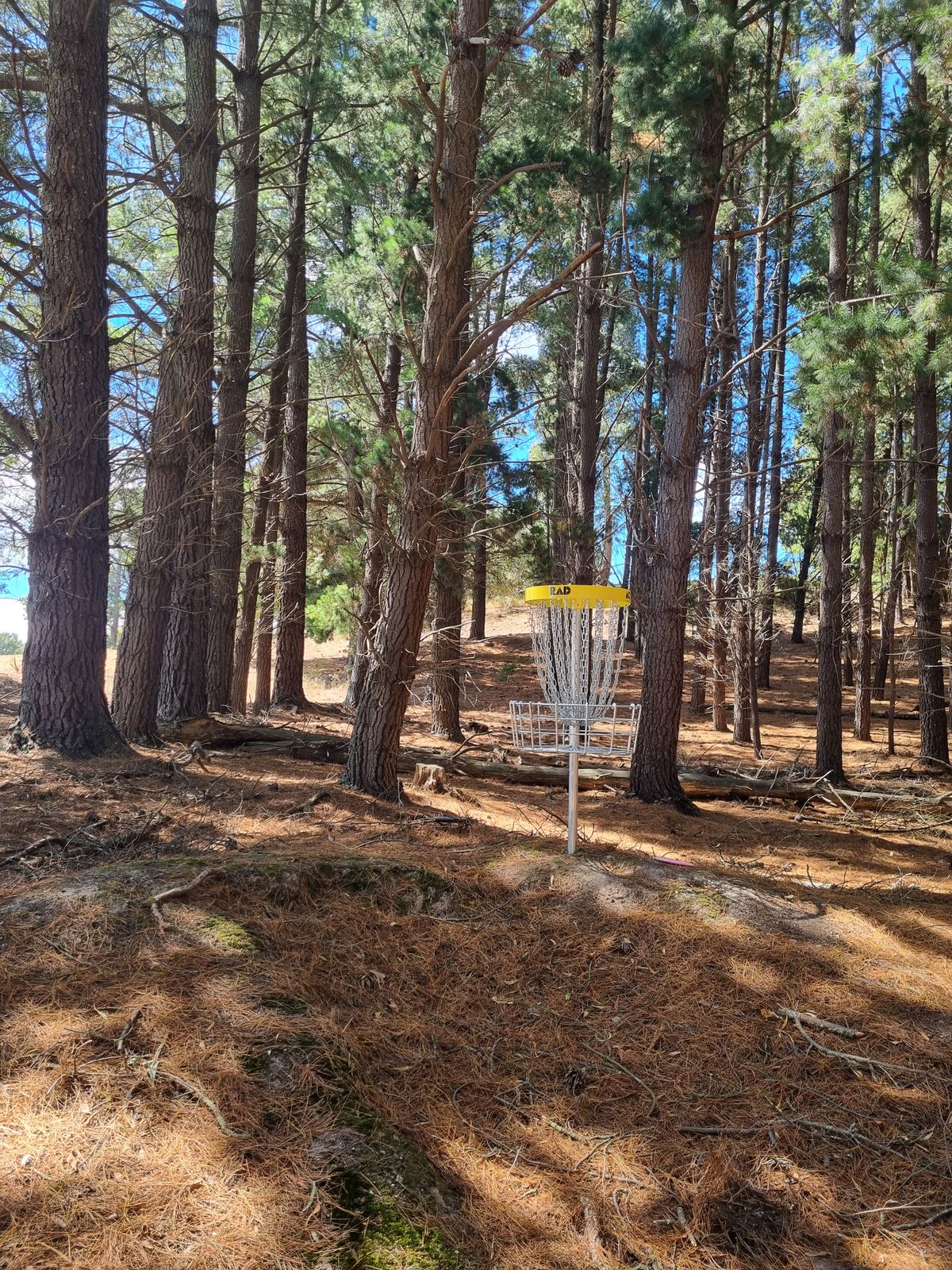 Hole 9 basket.