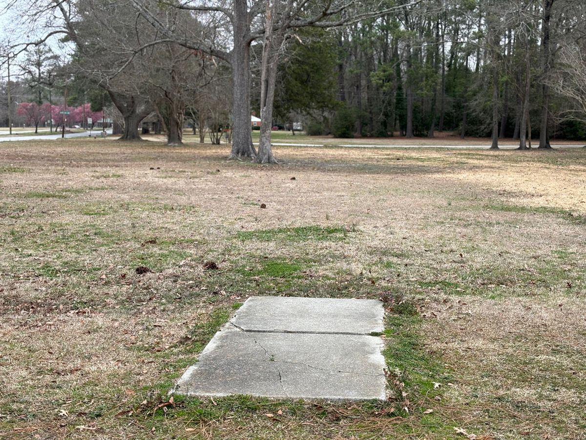 Hole 4 shorts