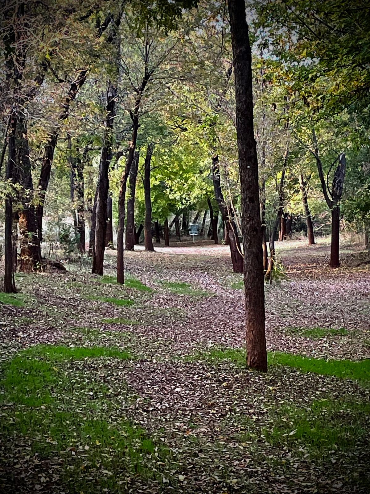 Hole 14 River’s Edge DGC