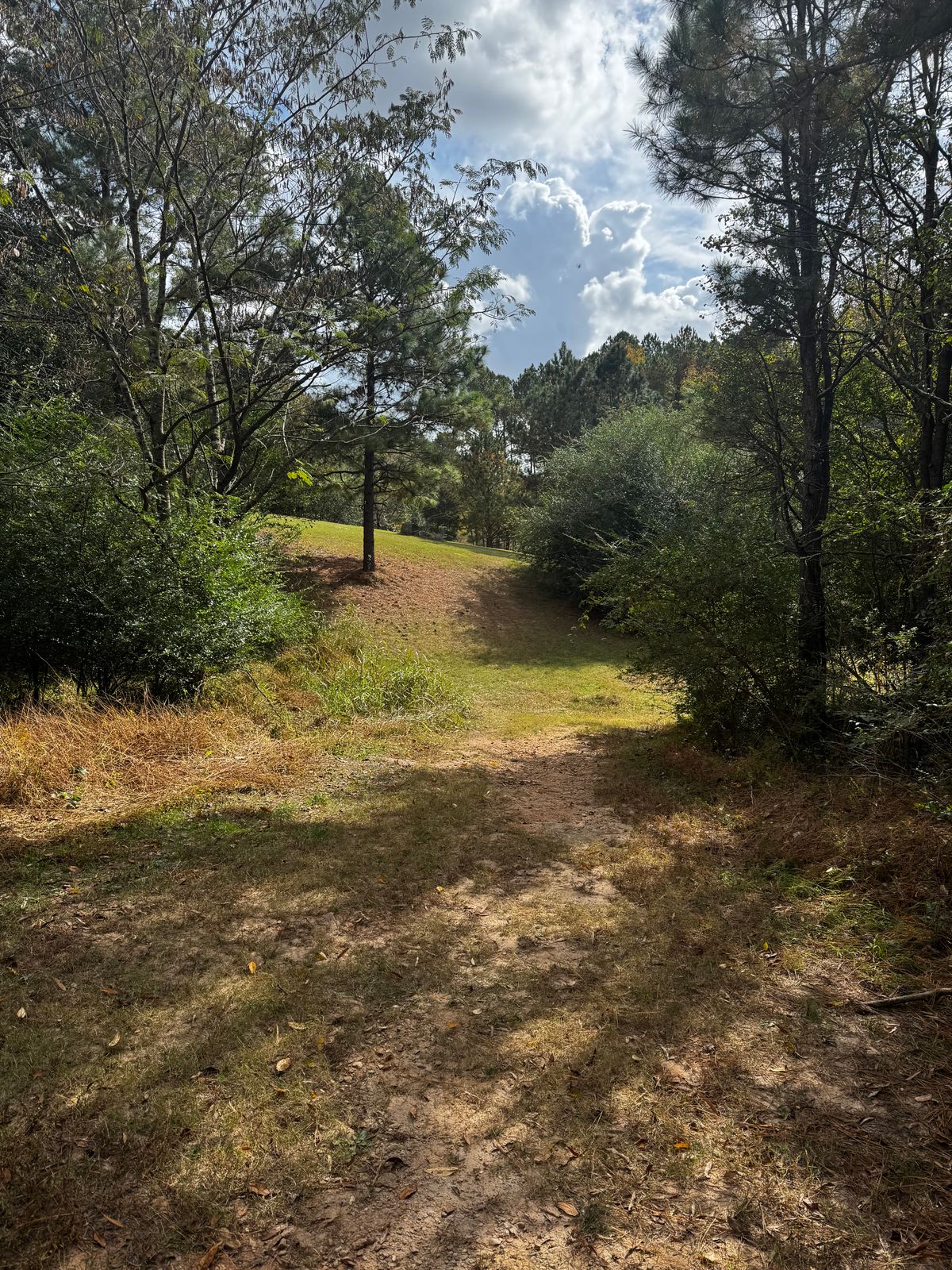 Hole 3