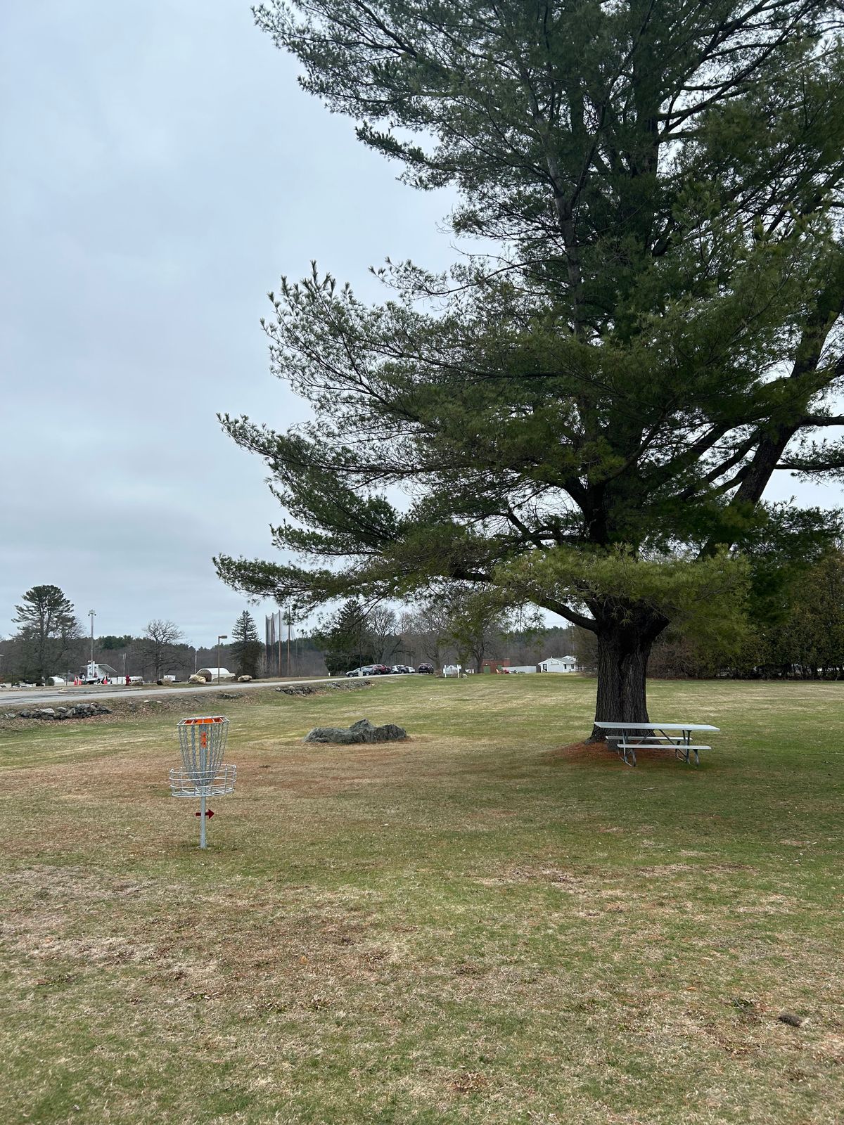 Hole 4 basket