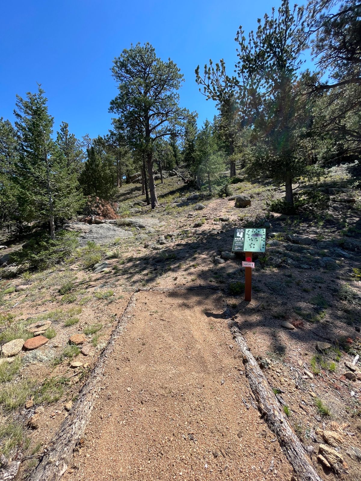 Hole 4 tee