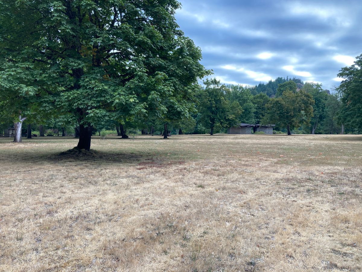 Hole two has no obvious T pad, UDisc points into a spot in the middle of the grassy area.
