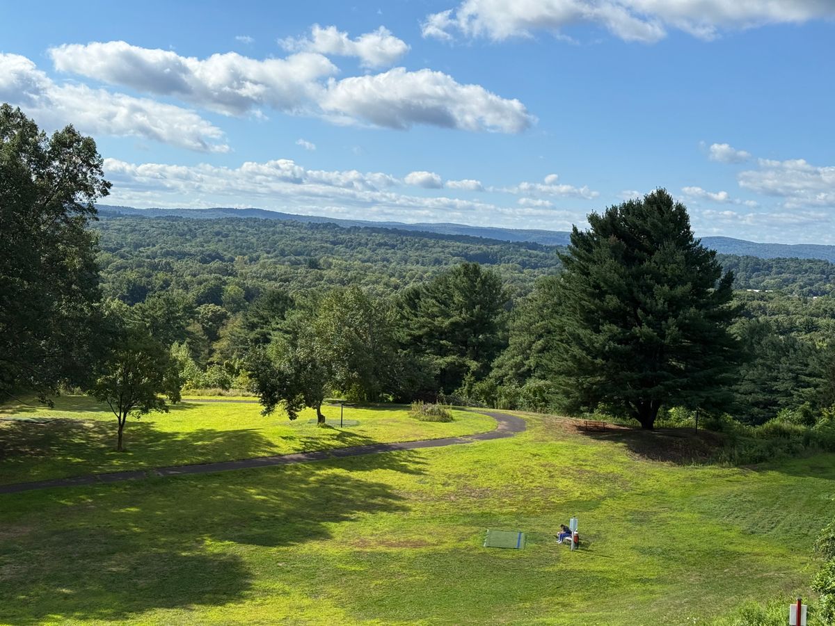 Hole 12-Basket Looking to Teepad