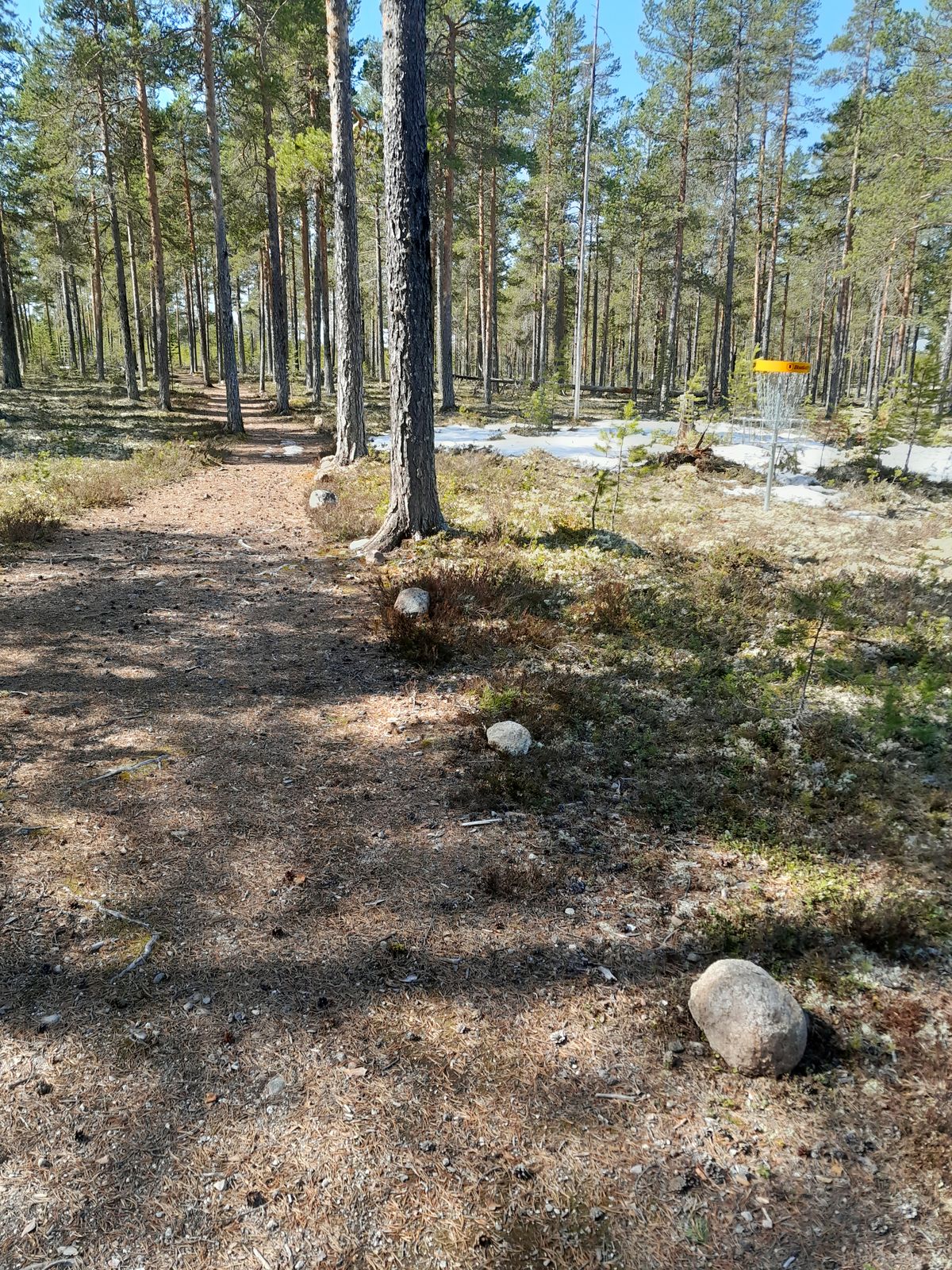 Stenar har lagts för att markera o.b. (out of bounds) mot stig.