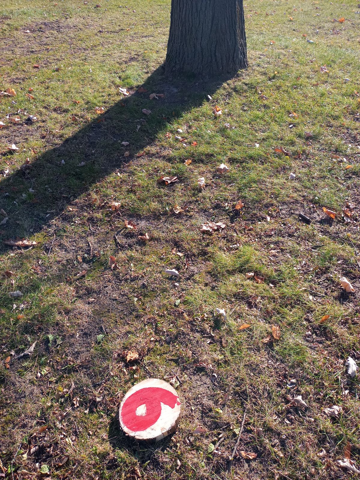 Hole 6 tee