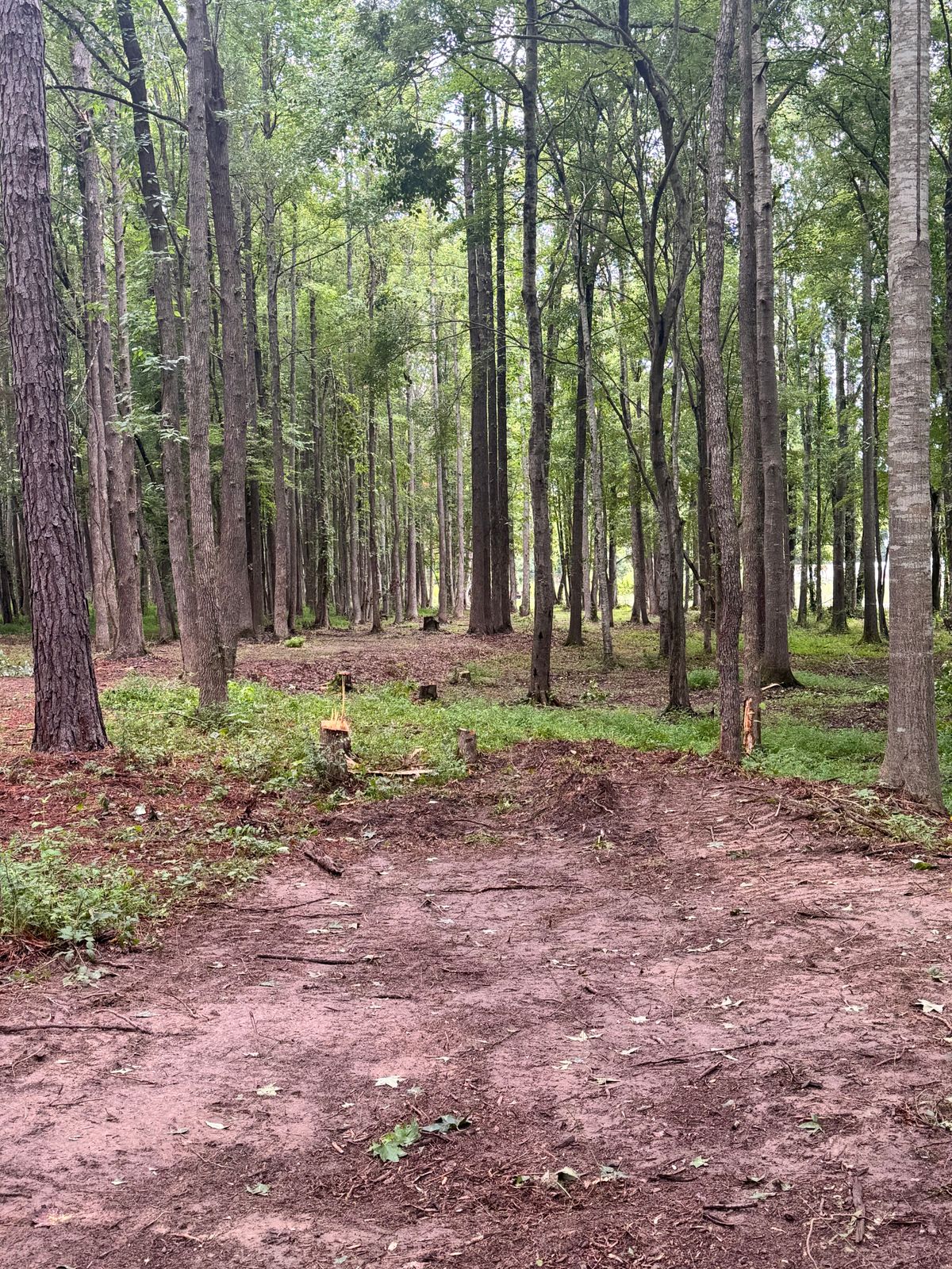 Hole 6