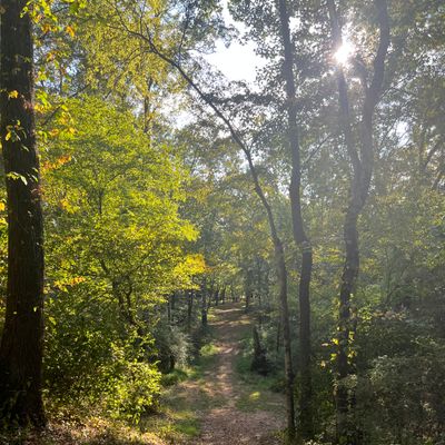 Hole 14