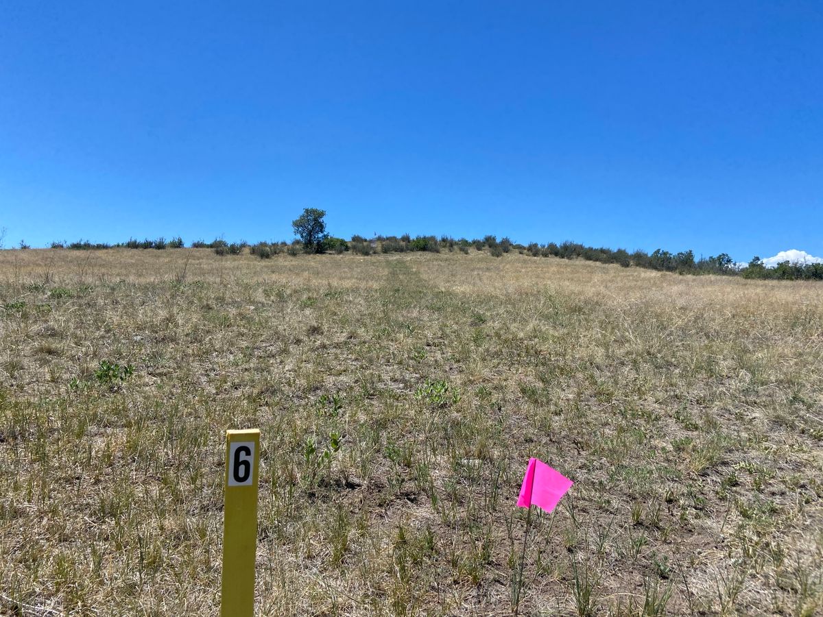 Hole 6 tee to basket