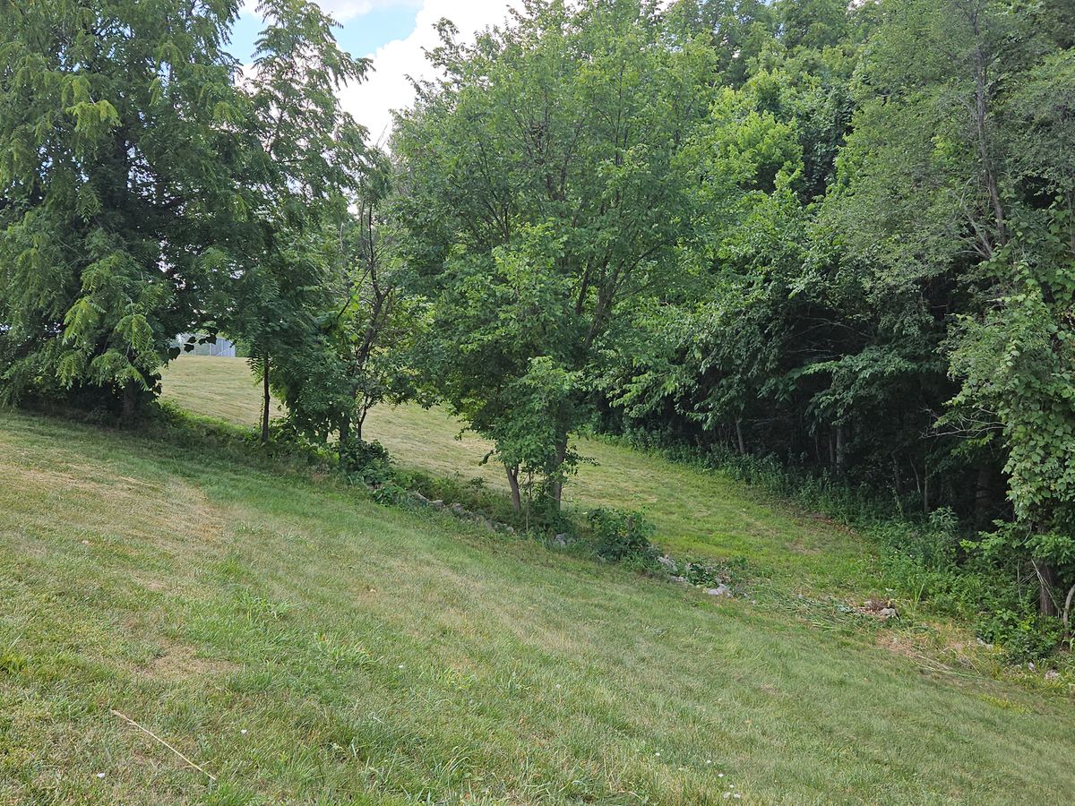 Hole 5