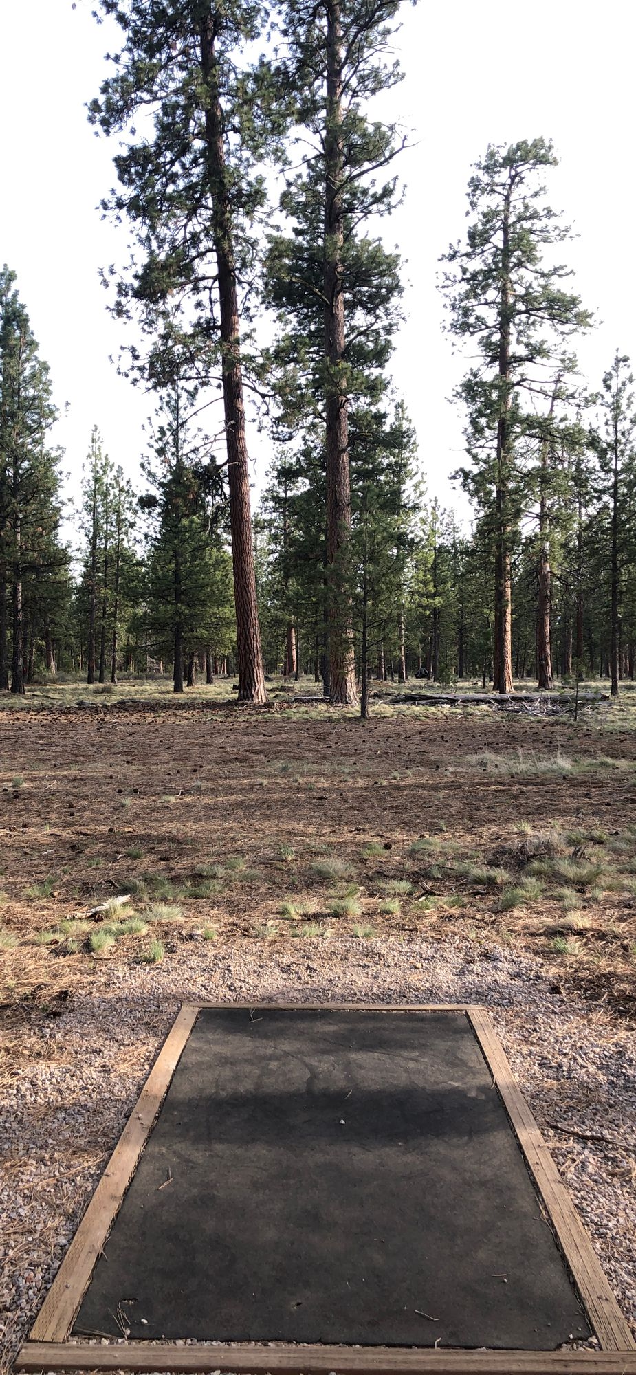 Hole 13 tee