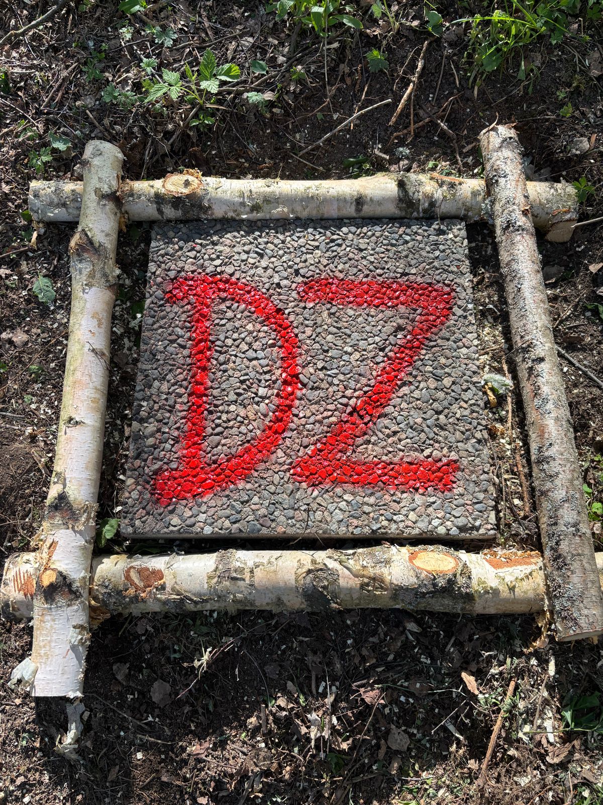 DZ