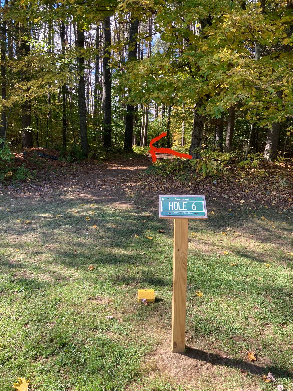 Hole 6 tee