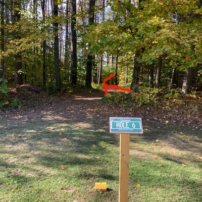 Hole 6 tee
