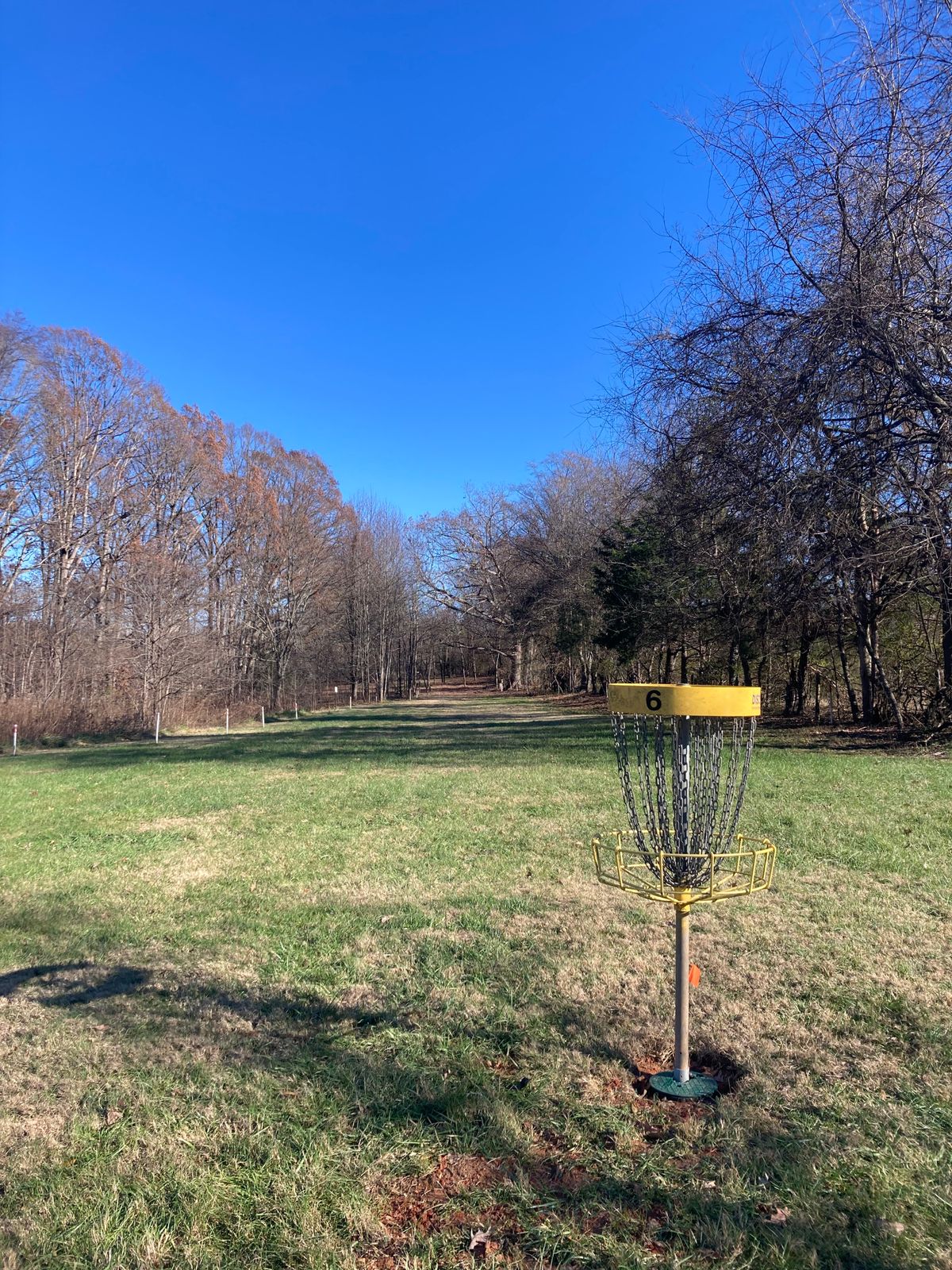 Hole 6 Green
