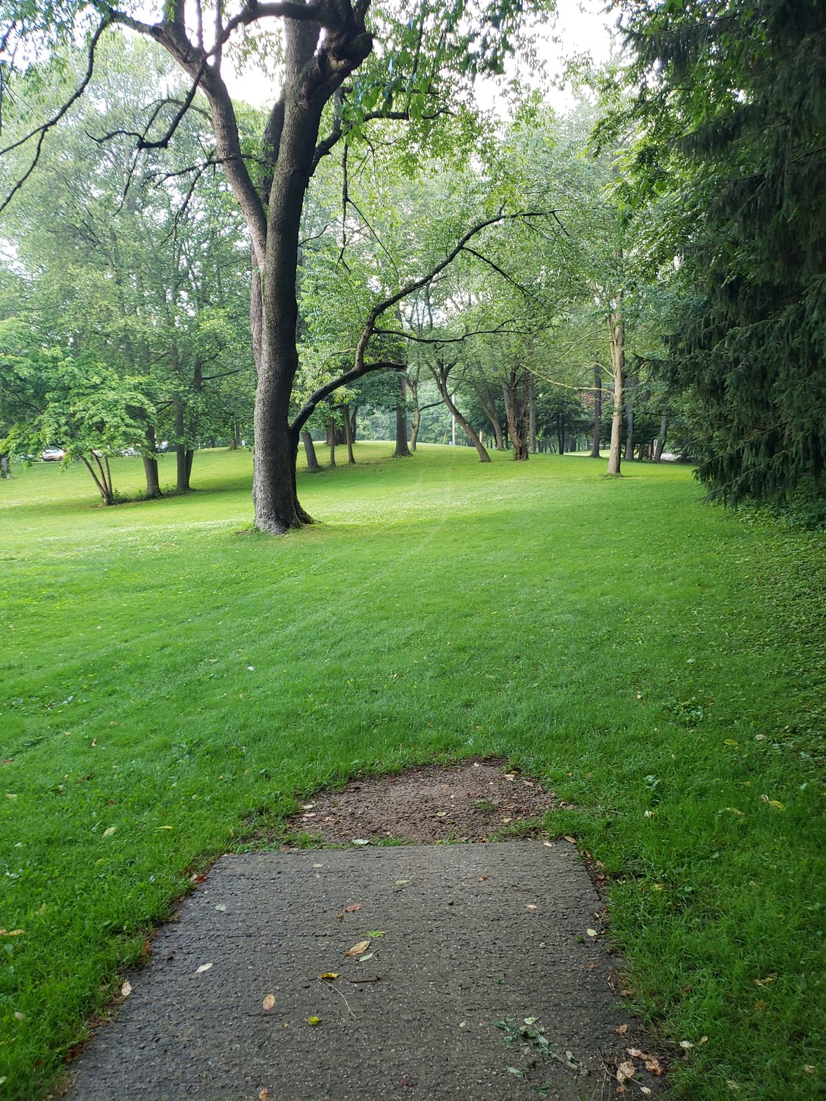 Hole 16 short teepad