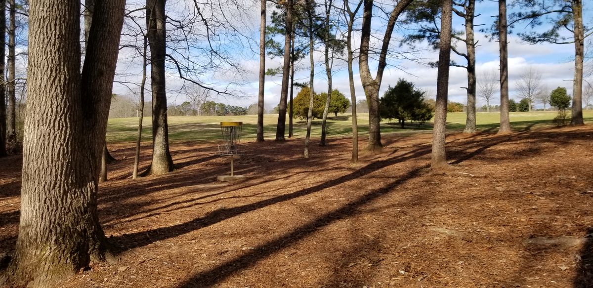 Hole 10 Green (B Pin Location)