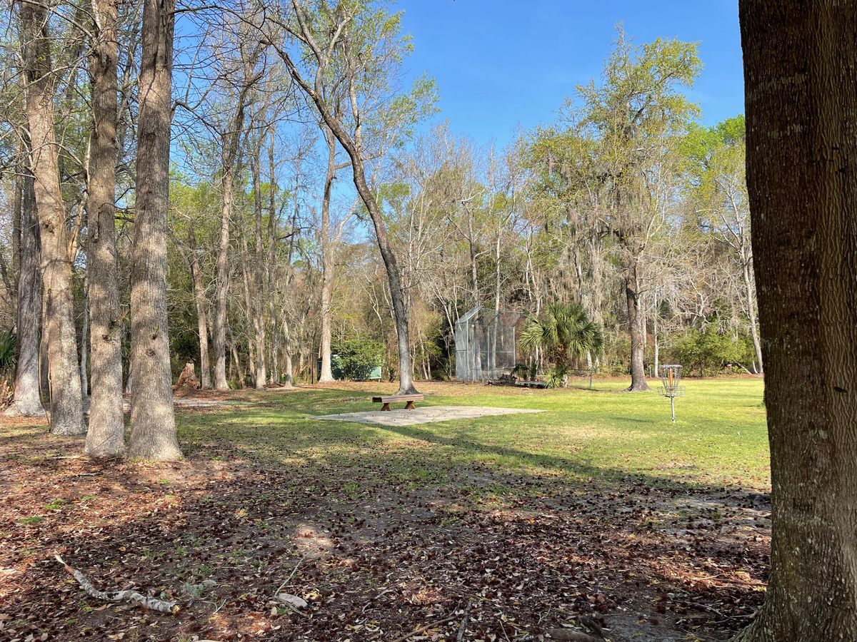 Most holes cross a large open area, with baskets tucked into the wooded areas or protected by bushes