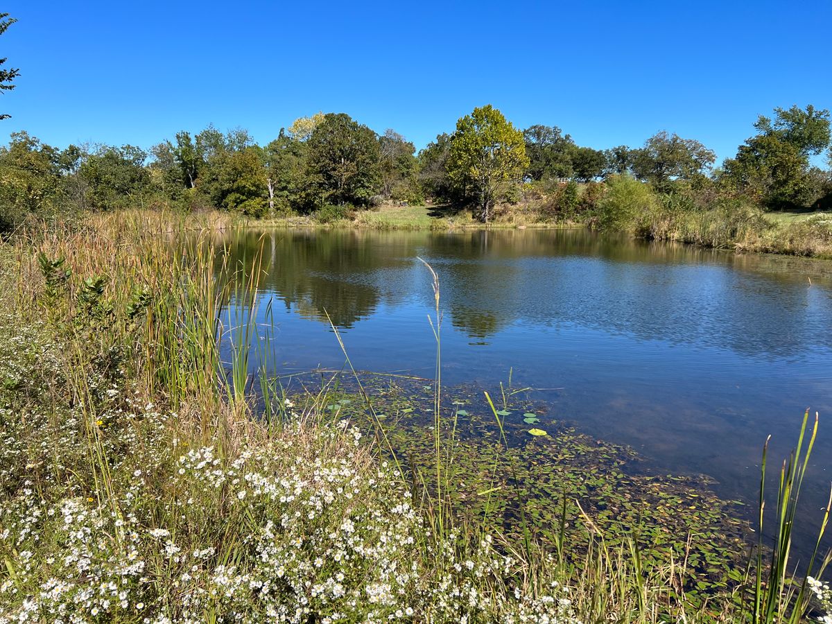 Hole 11 - Over the Lake