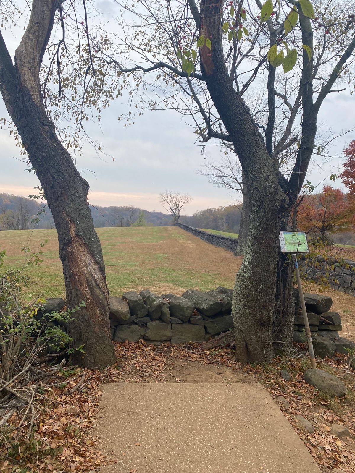 Hole 1 tee pad
