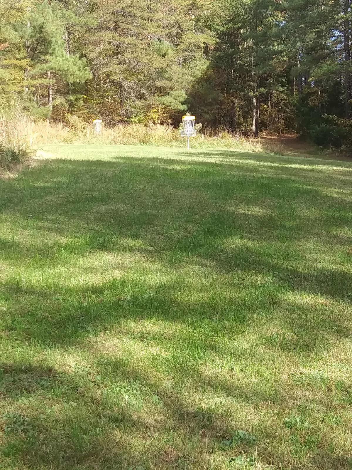 Hole 15 basket